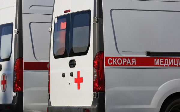 
            Российские власти потратили на спецтранспорт 9,7 млрд руб. в 2026 году
        