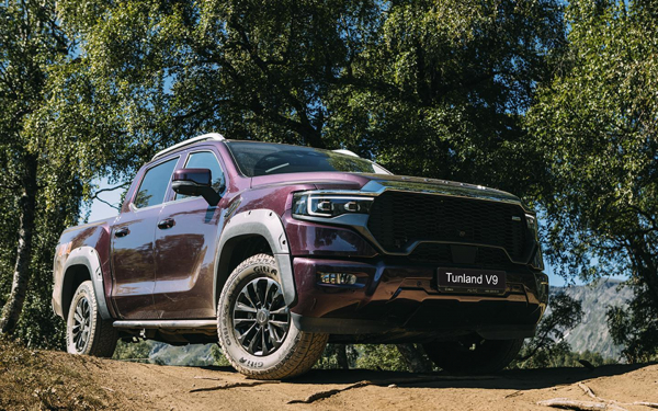 
            Foton впервые стал лидером продаж среди пикапов в России. Топ-5 моделей
        