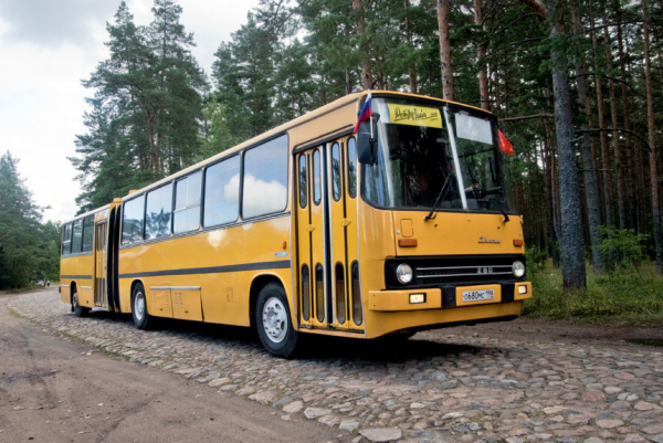 День икарусника: как Лапшин водил &laquo;гармошку&raquo; Ikarus